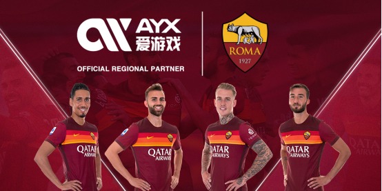 是对假冒现